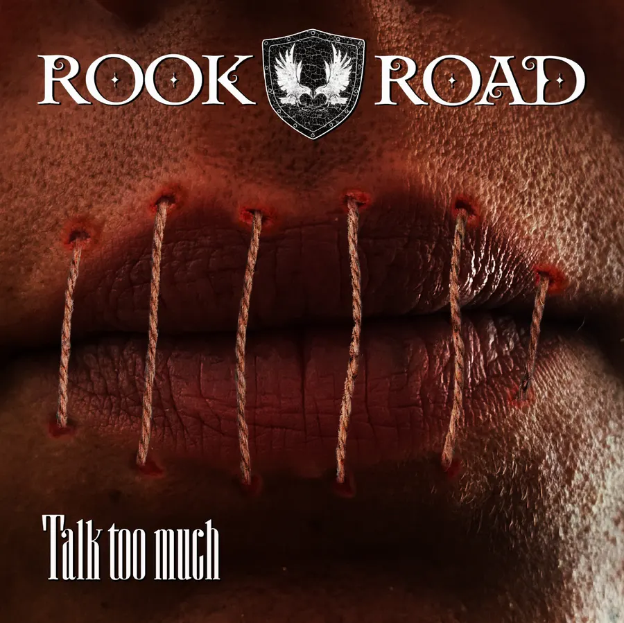 Talk Too Much single cover